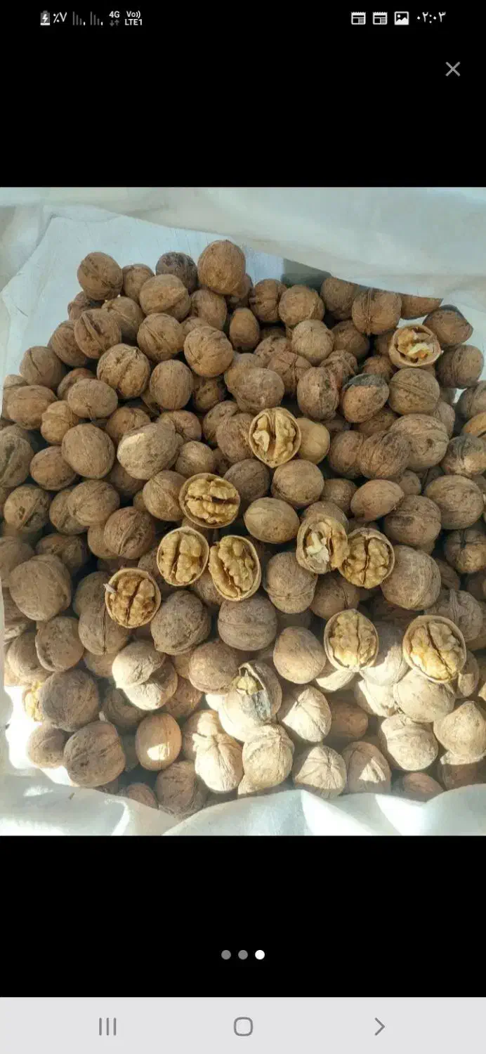 گردودشتک|خوردنی و آشامیدنی|شیراز, حومه شیراز|دیوار