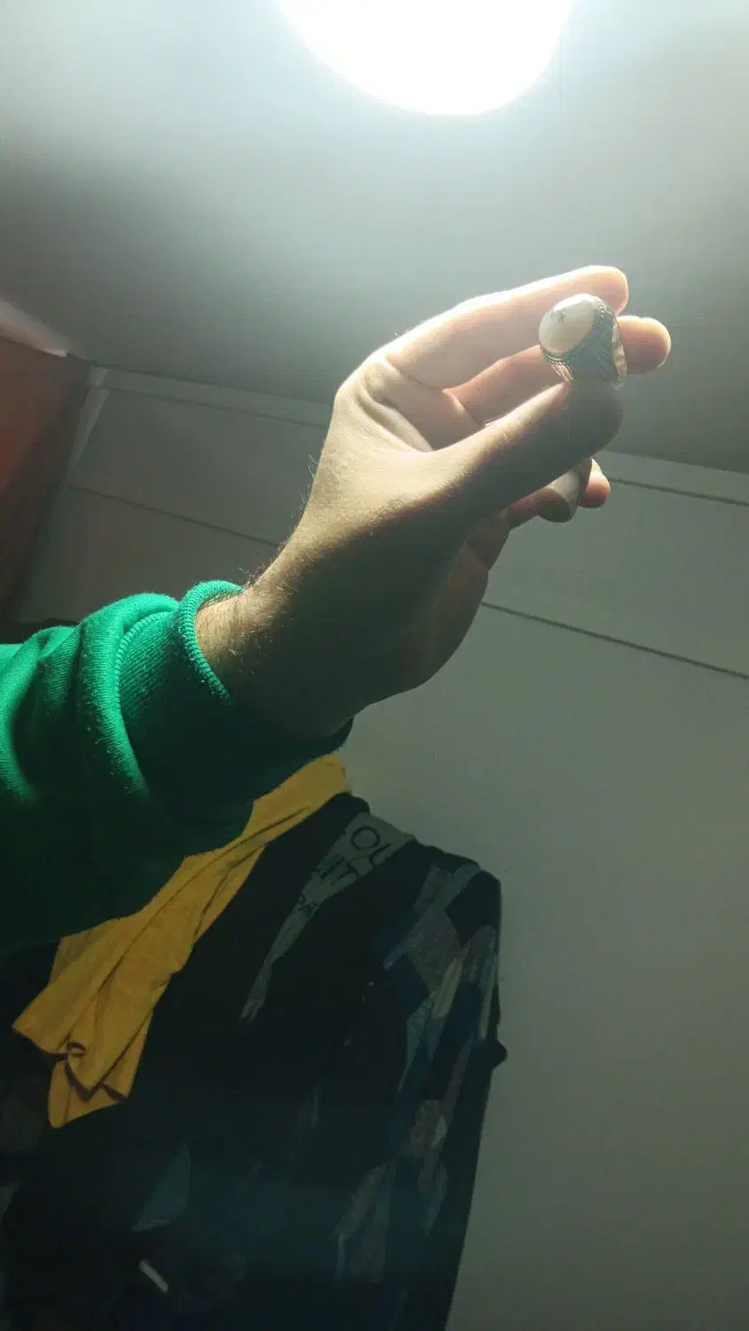 انگشتر شجر|جواهرات|اردبیل, |دیوار