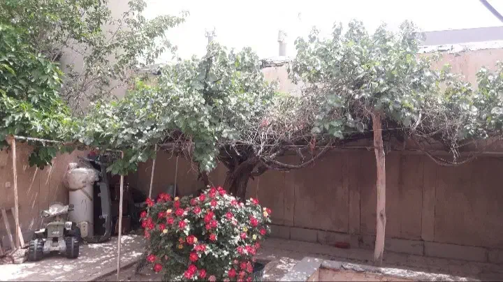 فروش ویلایی ۲۰۰ متر جنوبی بهترین فرعی عارف|فروش خانه و ویلا|شاهین‌شهر, فیض|دیوار