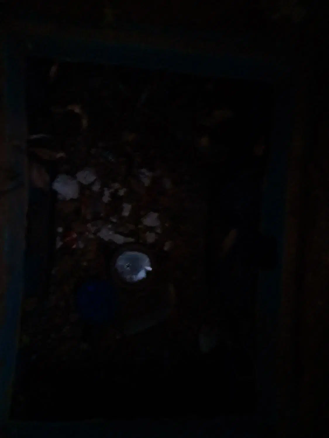 کود حیوانی گاو گوسفند مخلوط باهم|حیوانات مزرعه|داورزن, |دیوار