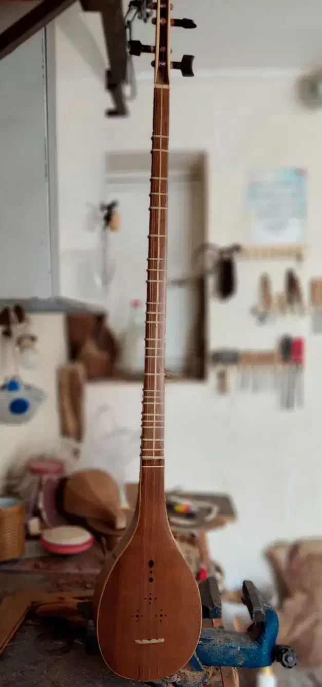 سه‌تار(حرفه ای)و(مبتدی)|سازهای سنتی|بوشهر, |دیوار