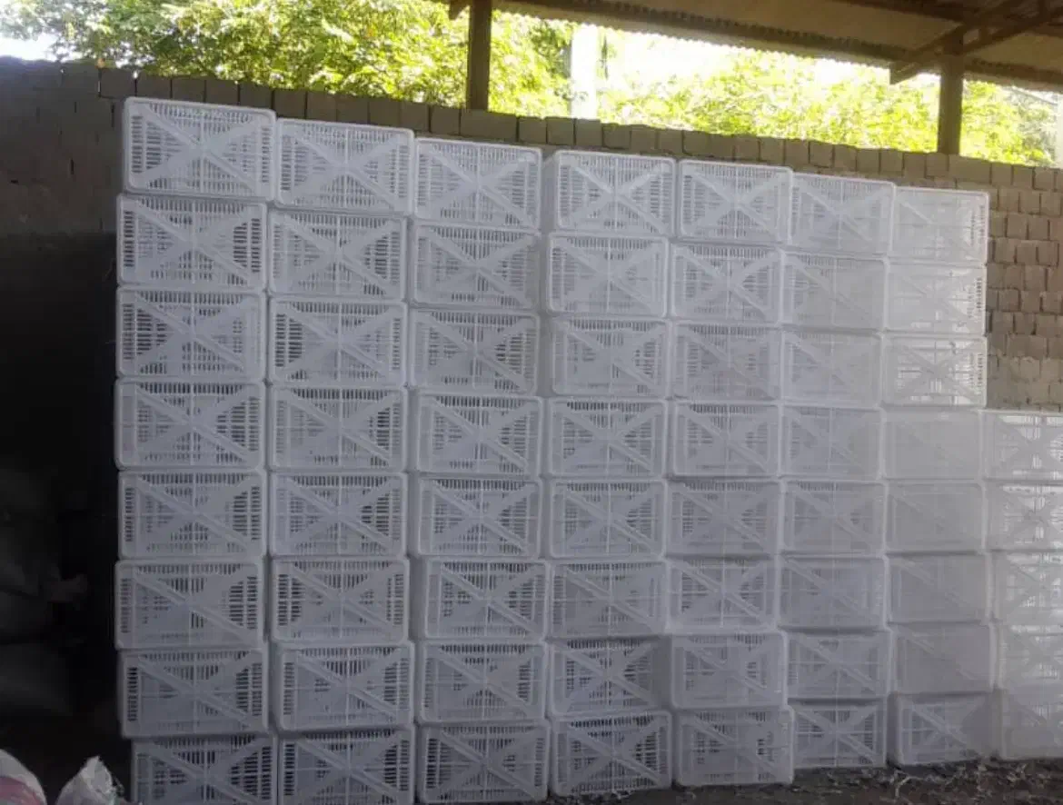 فروش سبد حمال و(خرید سبد ضایعات بالاترین قیمت)|عمده‌فروشی|جیرفت, |دیوار