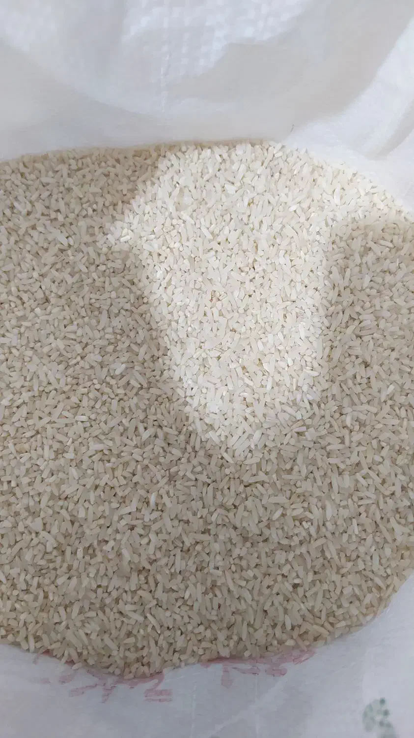 لاشه برنج هاشمی درجه یک گیلان بخری مشتری دایم میشی|خوردنی و آشامیدنی|خلخال, |دیوار