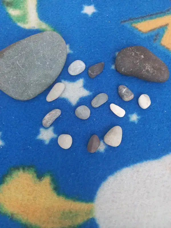 سنگ کف دریا|کلکسیون اشیاء عتیقه|کرمانشاه, |دیوار