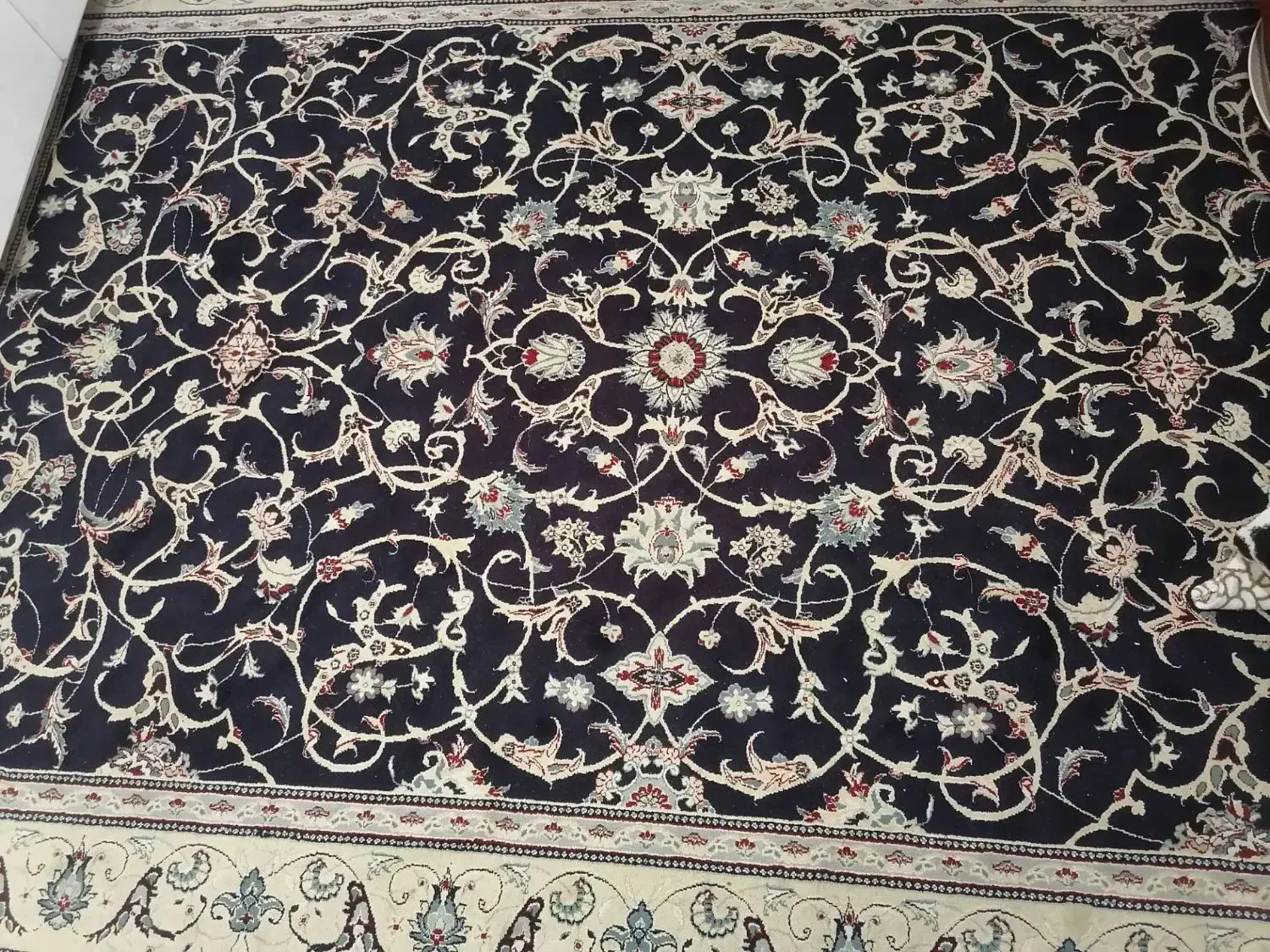 فرش6متری|فرش|گرگان, |دیوار