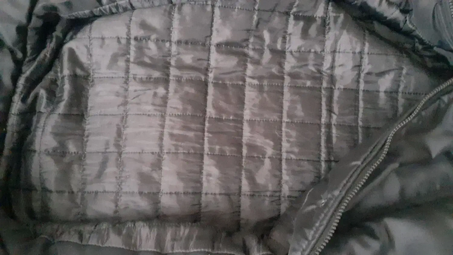 کاپشن مردانه|لباس|تبریز, |دیوار