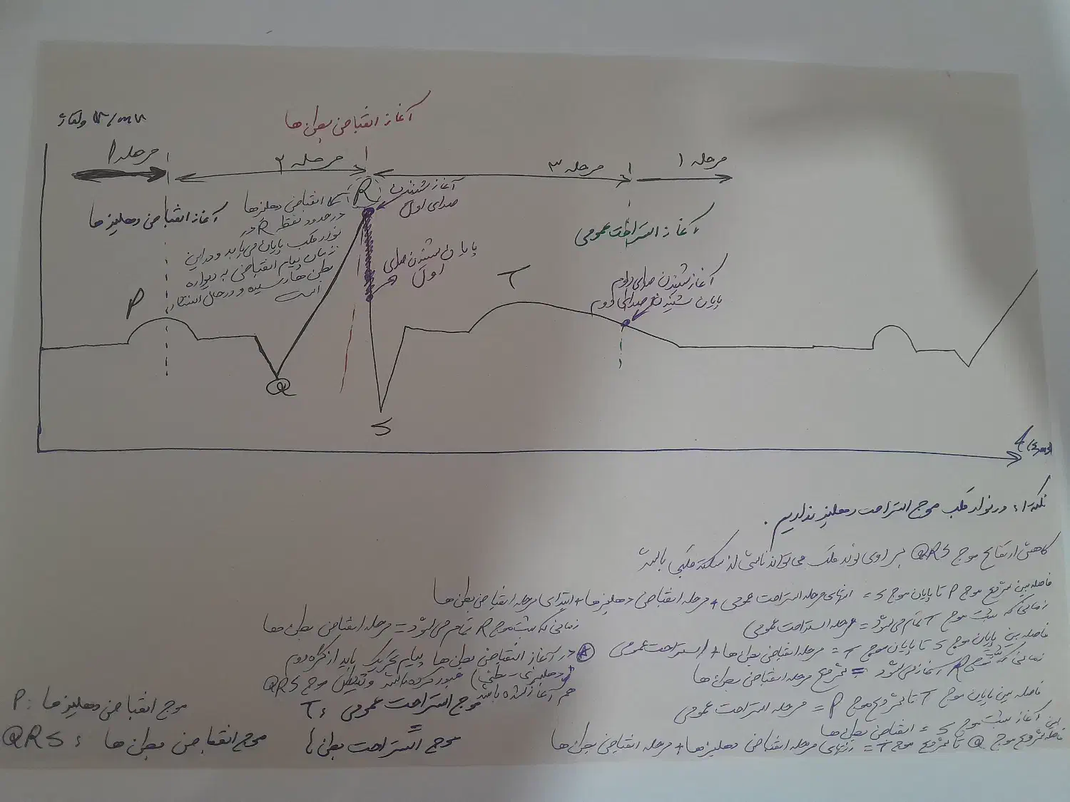 جزوه شکل زیست شناسی|کتاب و مجله آموزشی|شیراز, شهرک فرهنگیان|دیوار