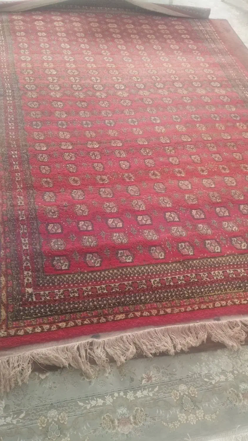 فرش دست بافت|فرش|پرند, فاز ۶|دیوار