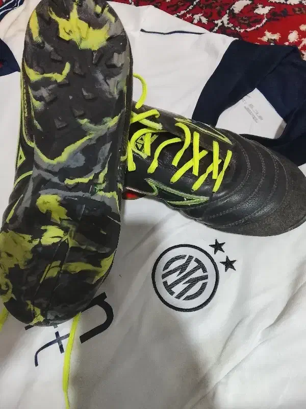 کفش سالن و چمن مصنوعی|کیف، کفش، کمربند|گنبد کاووس, |دیوار