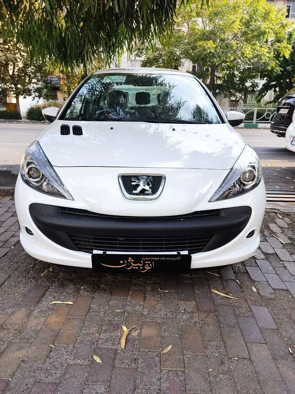 ۲۰۷ دنده پانا|خودرو سواری و وانت|تهران, عباس‌آباد|دیوار