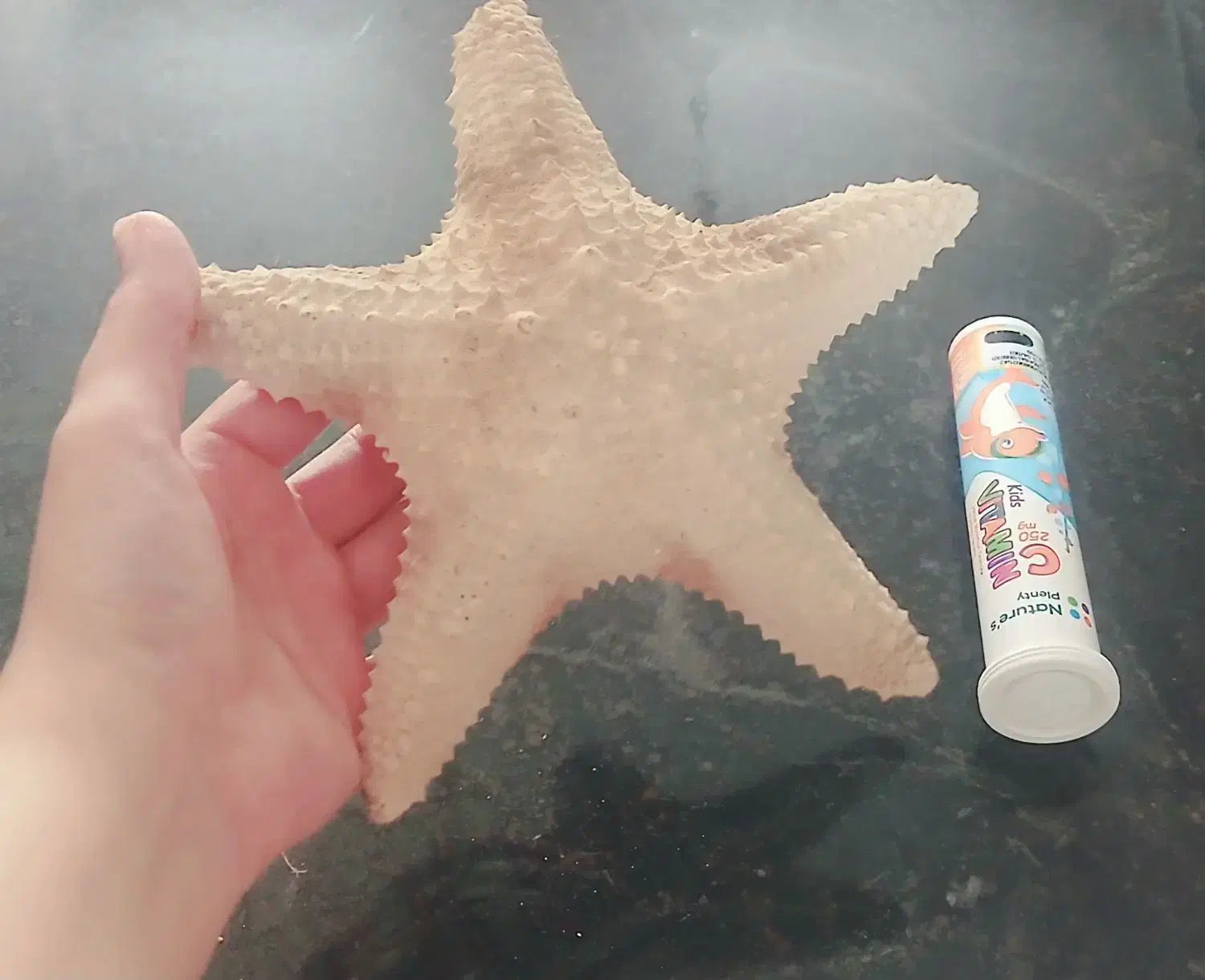 ستاره دریایی|ماهی|بوشهر, |دیوار