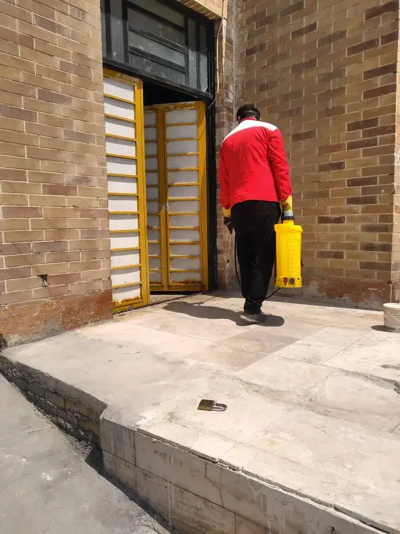 شرکت سمپاشی ضدعفونی سم پاشی سوسک موریانه زدایی|خدمات پیشه و مهارت|بهبهان, |دیوار