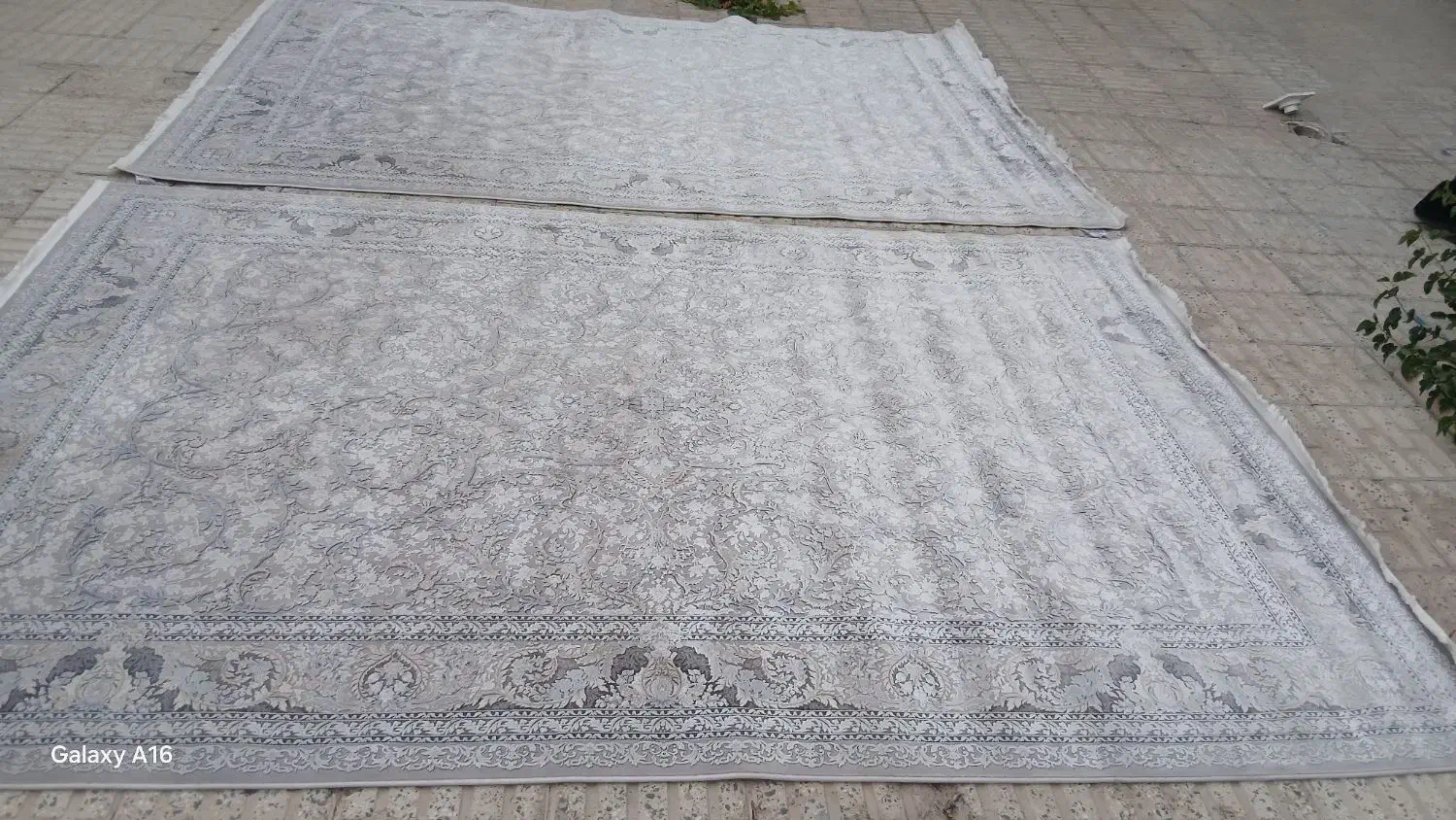 یک جفت شش متری درحداکبند۱۲۰۰شانه|فرش|بروجرد, |دیوار