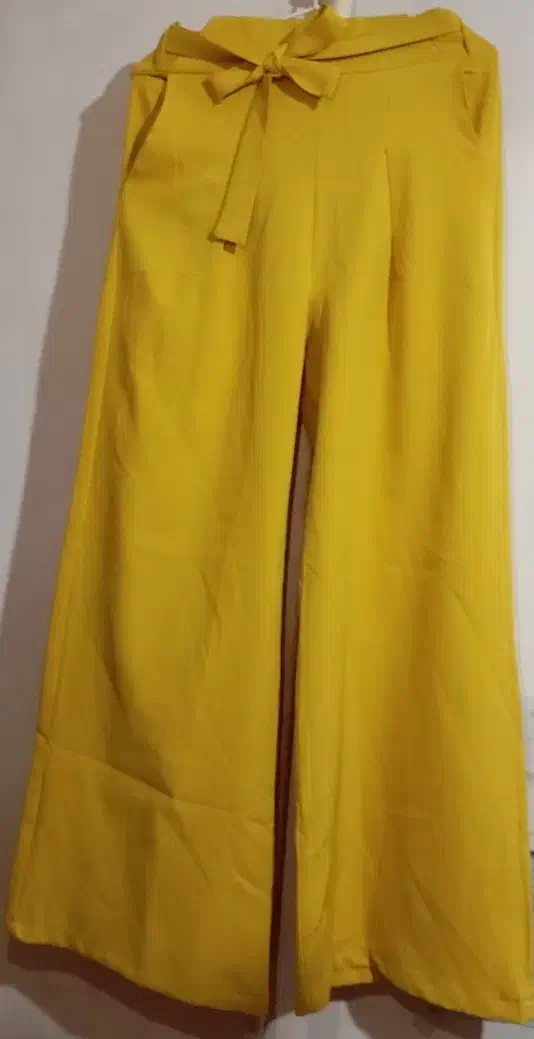 شلوارمجلسی|لباس|رشت, معلولین|دیوار