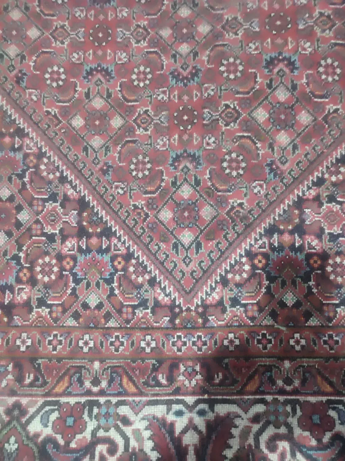 فرش دستبافت بسیار زیبا و پر پرز|فرش|سجاس رود, |دیوار