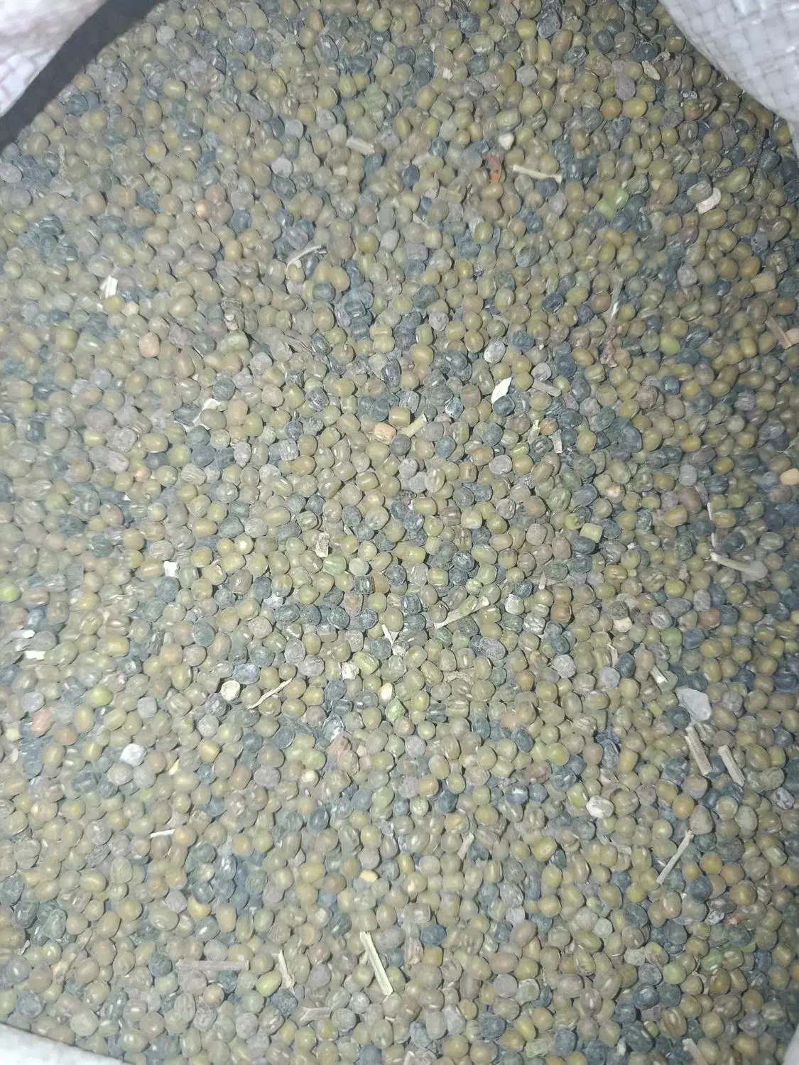 ماشک محلی|عمدهفروشی|فیروزآباد (فارس), |دیوار