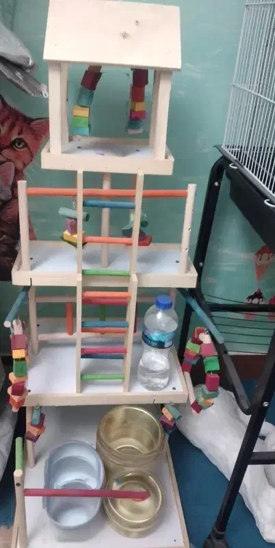 پارک بازی بزرگ طوطی سانان و پرندگان|لوازم جانبی حیوانات|تهران, شهرک آزادی|دیوار