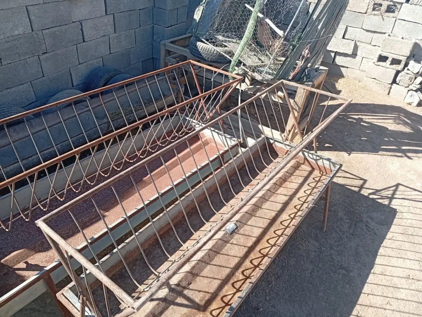 اخوره بزرگ|لوازم جانبی حیوانات|حنا, |دیوار