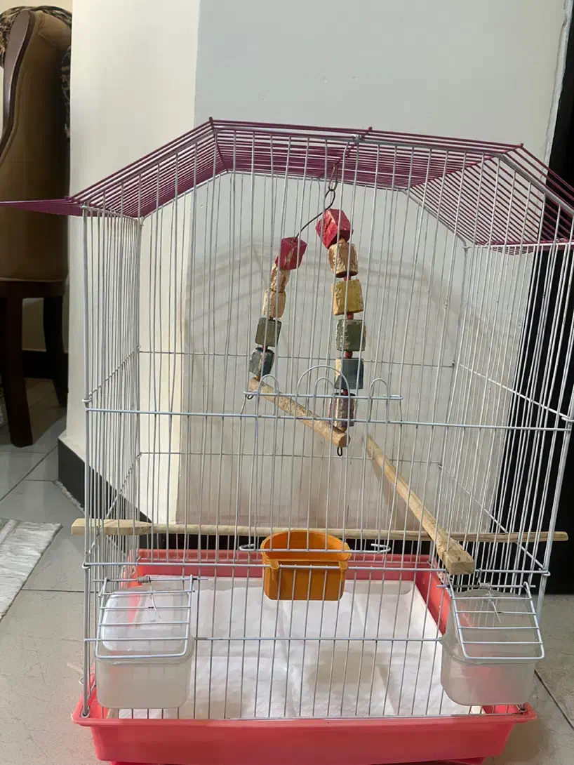 قفس پرنده با وسیله|لوازم جانبی حیوانات|کرج, شاهین‌ویلا|دیوار