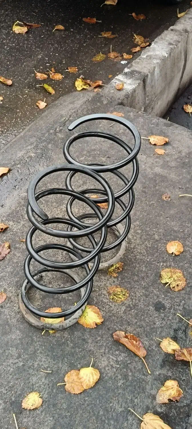 فنر لول ماکسیما|قطعات یدکی و لوازم جانبی|خسروشاه, |دیوار