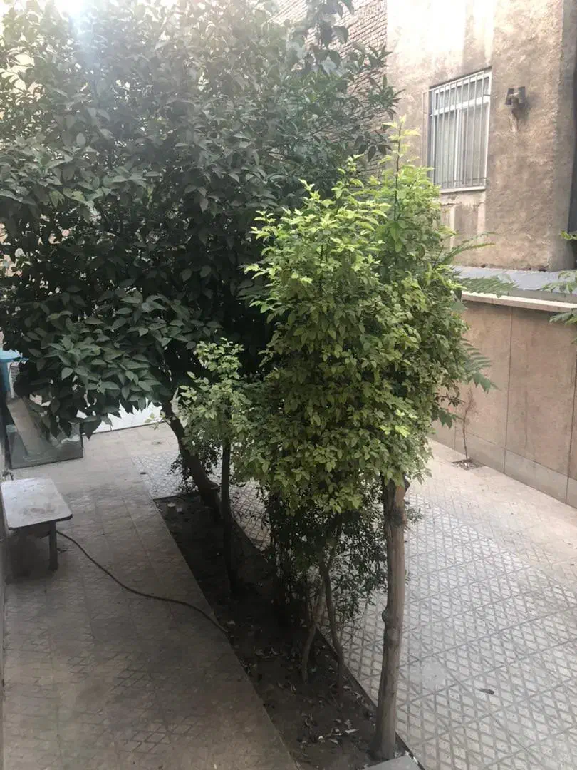 ۱۸۰متر بر۱۰ جنوبی خیابان خراسان|فروش زمین و ملک کلنگی|تهران, کوثر|دیوار