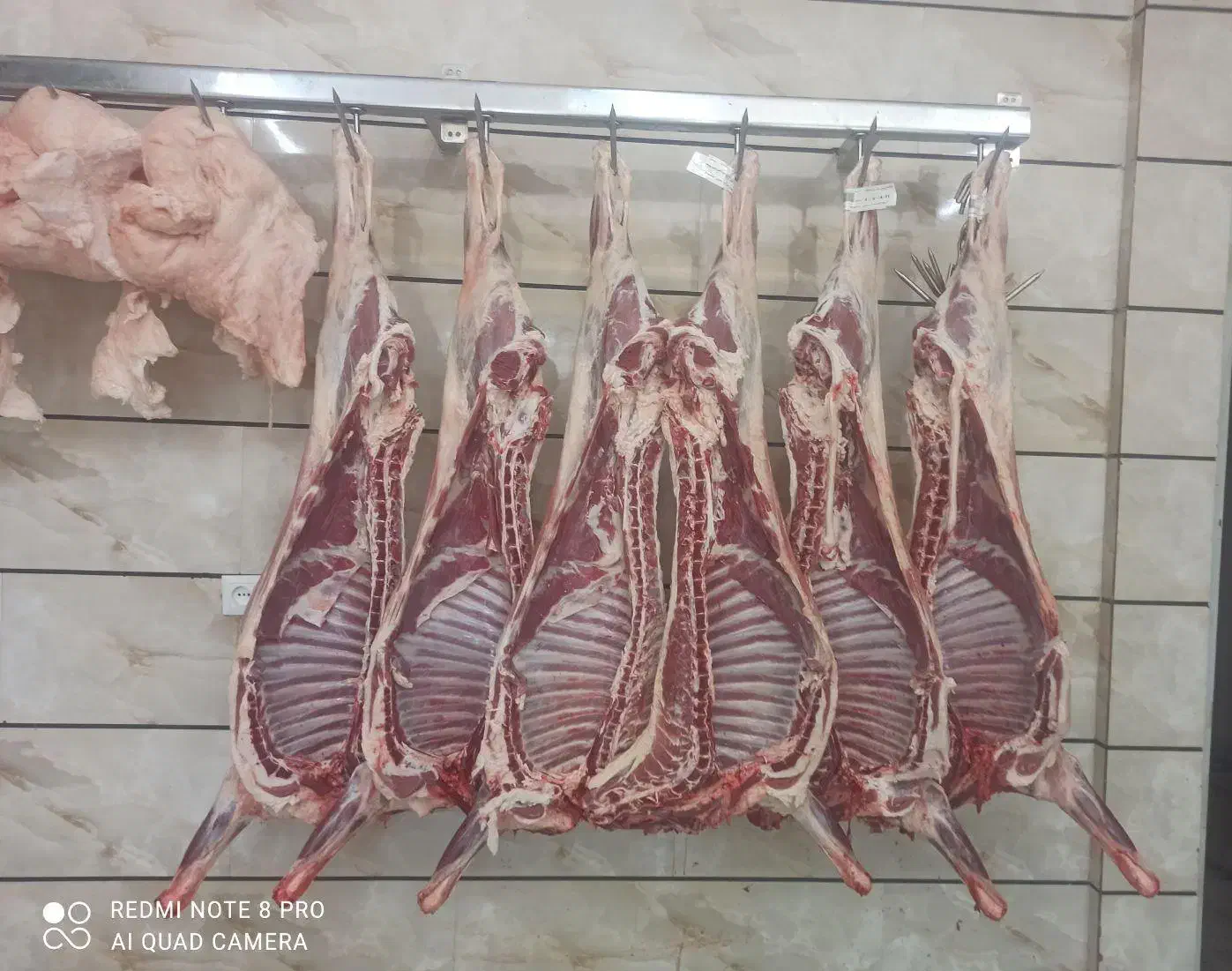 گوشت تنظیم بازار|عمده‌فروشی|سبزوار, جهاد کشاورزی|دیوار