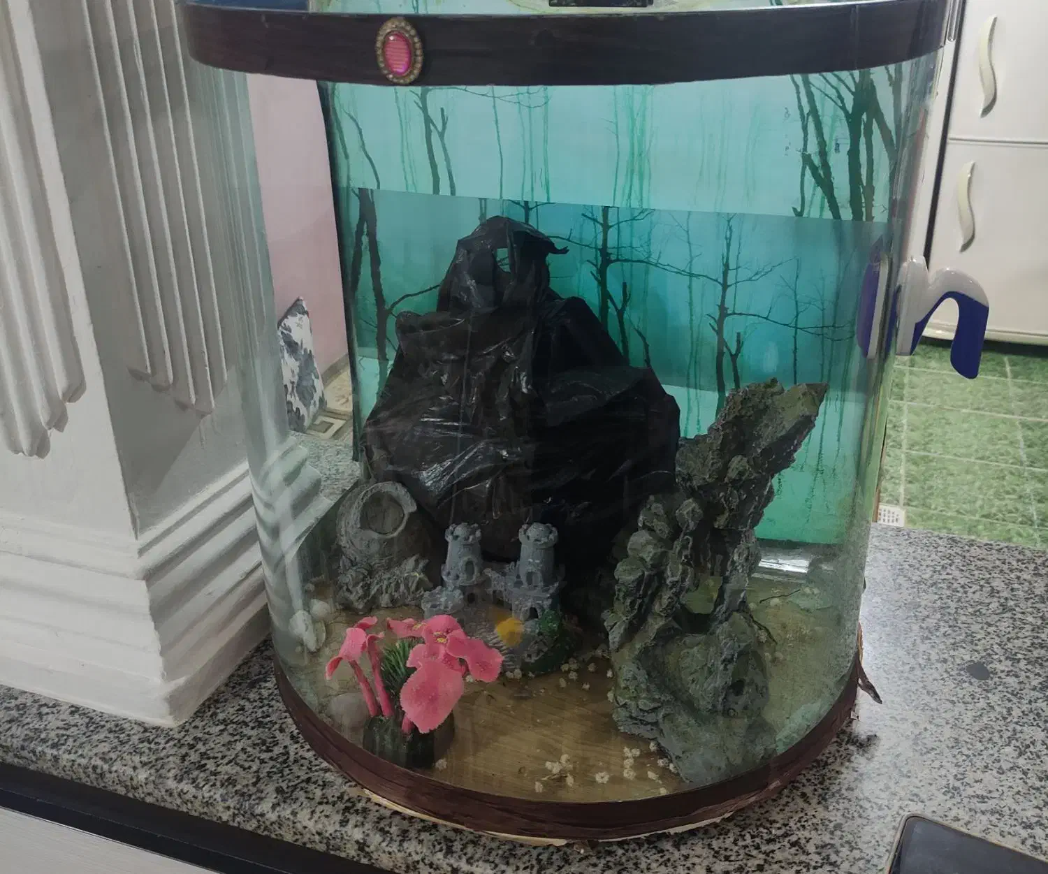 اکواریوم شیشه خم|ماهی|نهاوند, |دیوار