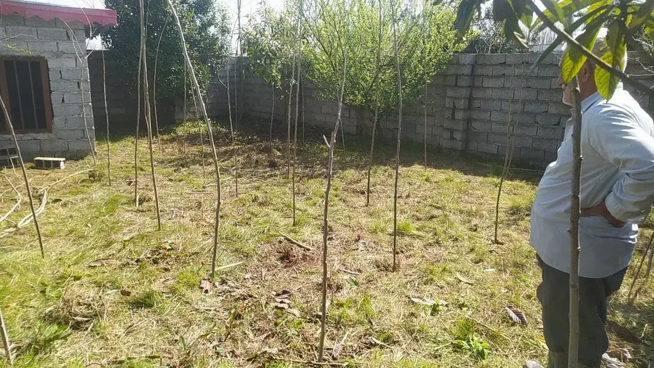 فروش فوری زمین زیر قیمت در سراجار|فروش زمین و ملک کلنگی|رودبنه, |دیوار