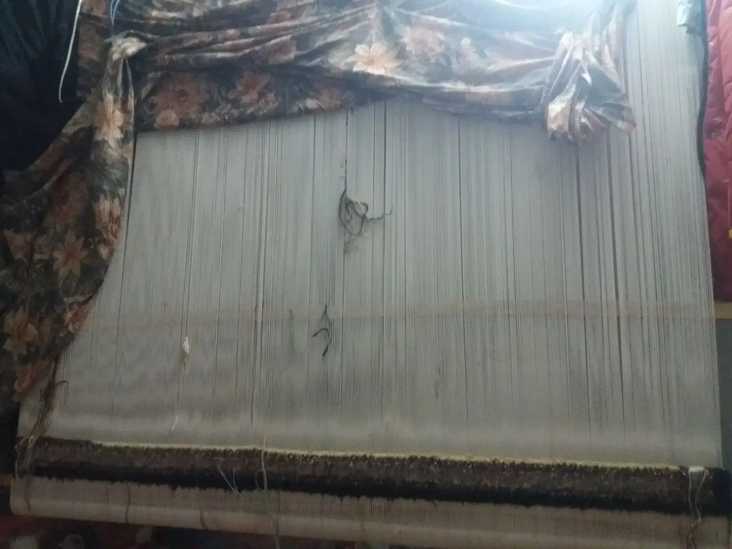 فرش|فرش|اردبیل, |دیوار