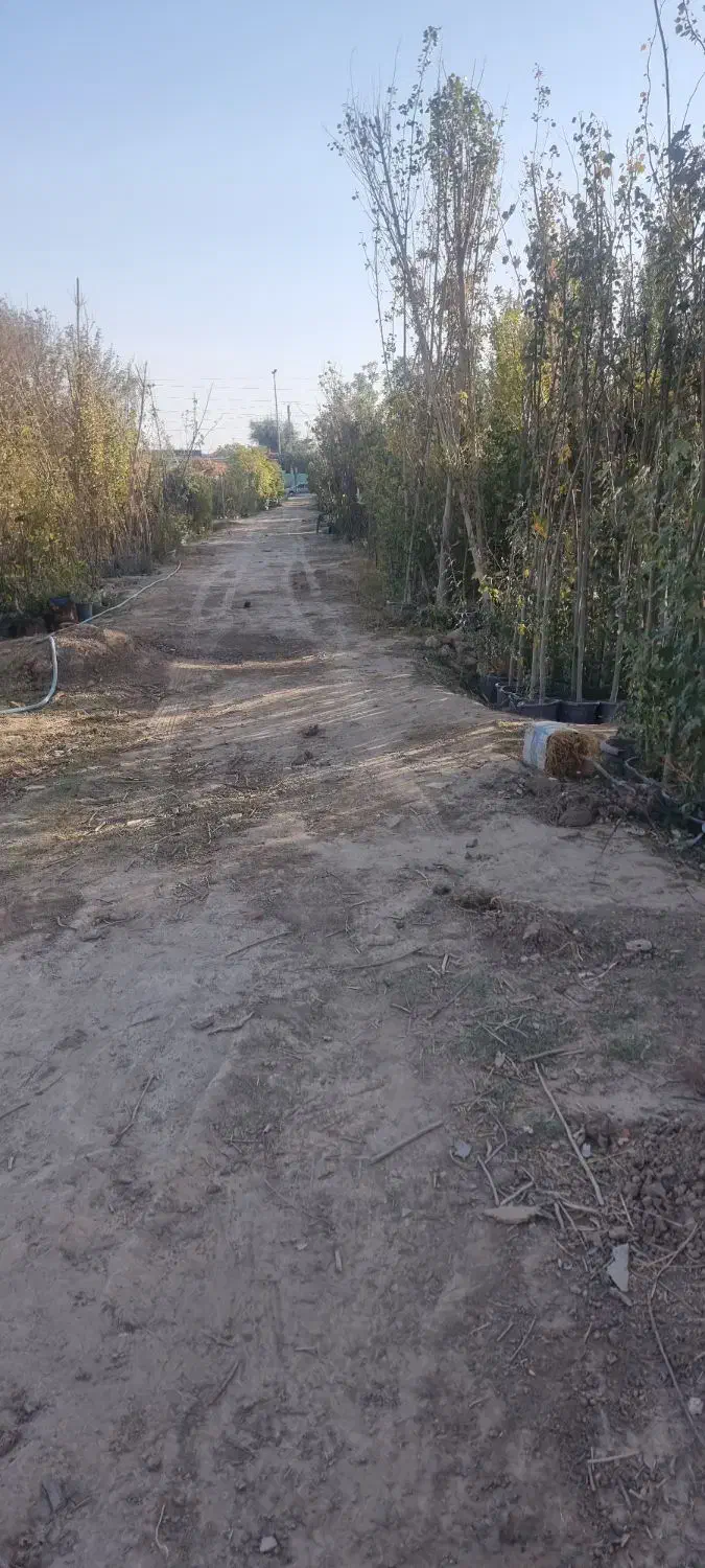 **۱۵۰۰ متر زمین اجاره‌ای در ماهدشت**|اجارهٔ دفتر صنعتی، کشاورزی، تجاری|محمدشهر, محمدشهر|دیوار