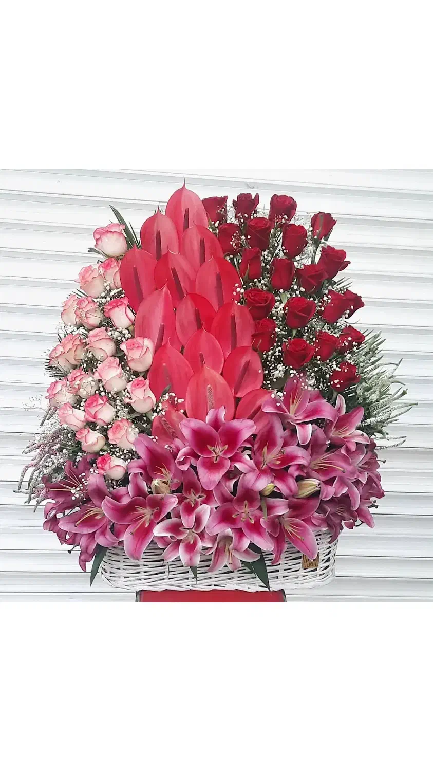 گل نمایشگاهی بین المللی سئول ایران مال شهر آفتاب|گل و گیاه طبیعی|تهران, امانیه|دیوار