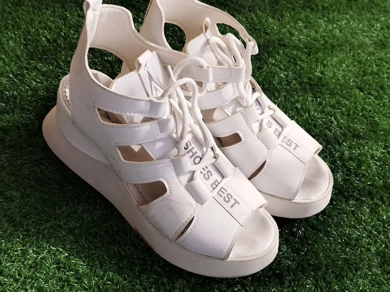 کفش|کیف، کفش، کمربند|اردبیل, |دیوار