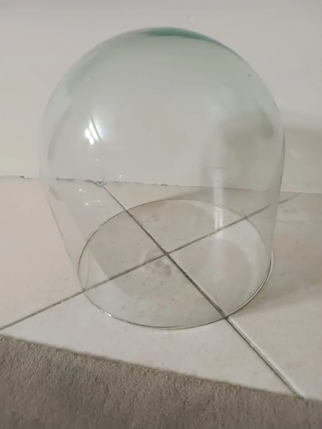 تنگ شیشه ای برای گل با قیمت مناسب|گل و گیاه طبیعی|تهران, شهرک فردوس (حسینی)|دیوار