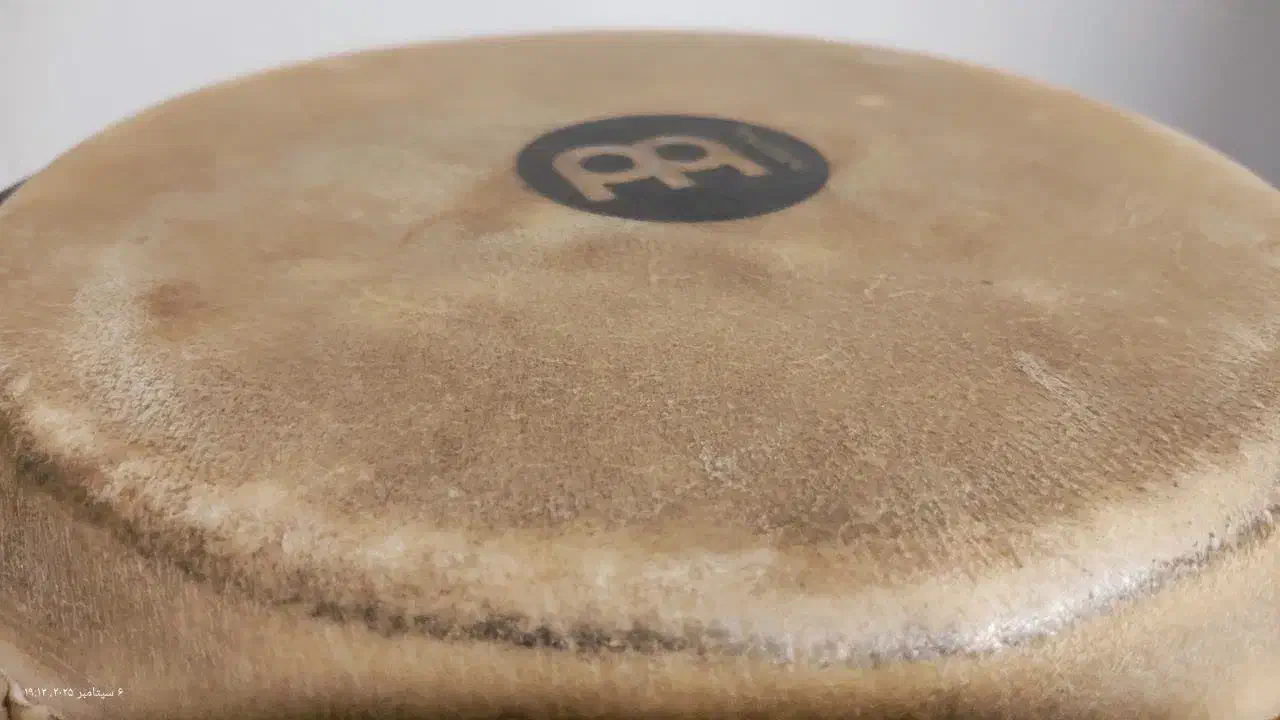 کونگا|درام و پرکاشن|تهران, تهرانپارس شرقی|دیوار