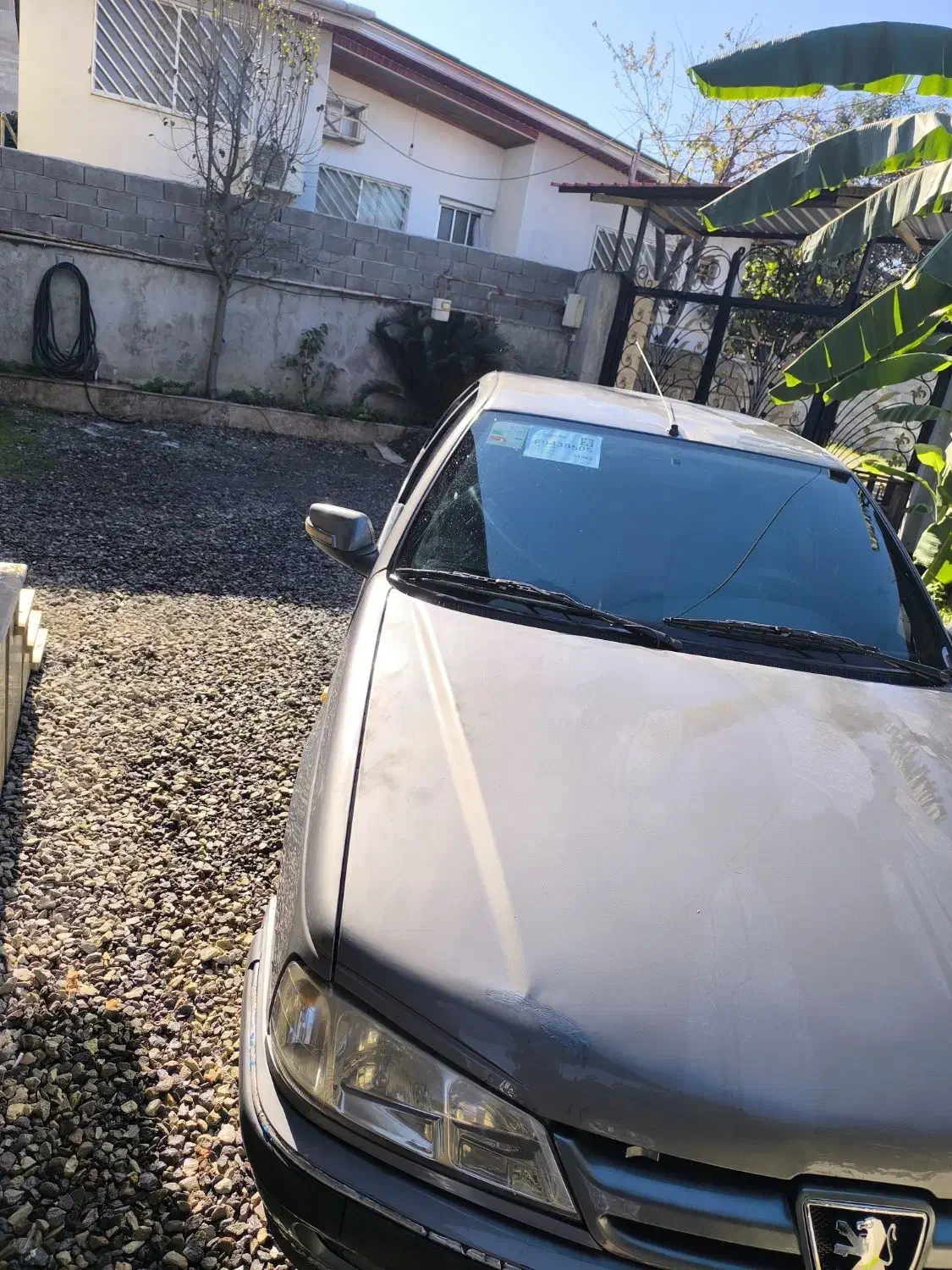 پژو پارس دوگانه شرکت|خودرو سواری و وانت|رویان, |دیوار