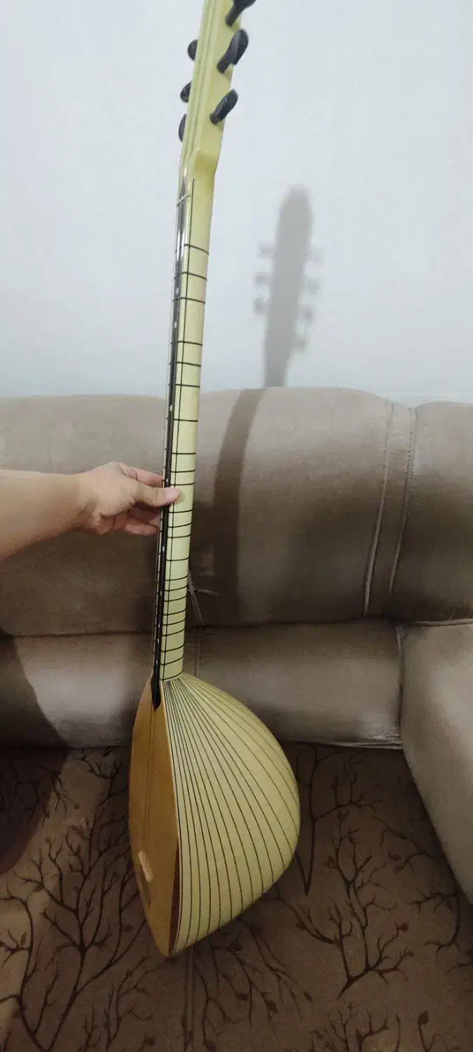 فروش|سازهای سنتی|قروه, |دیوار