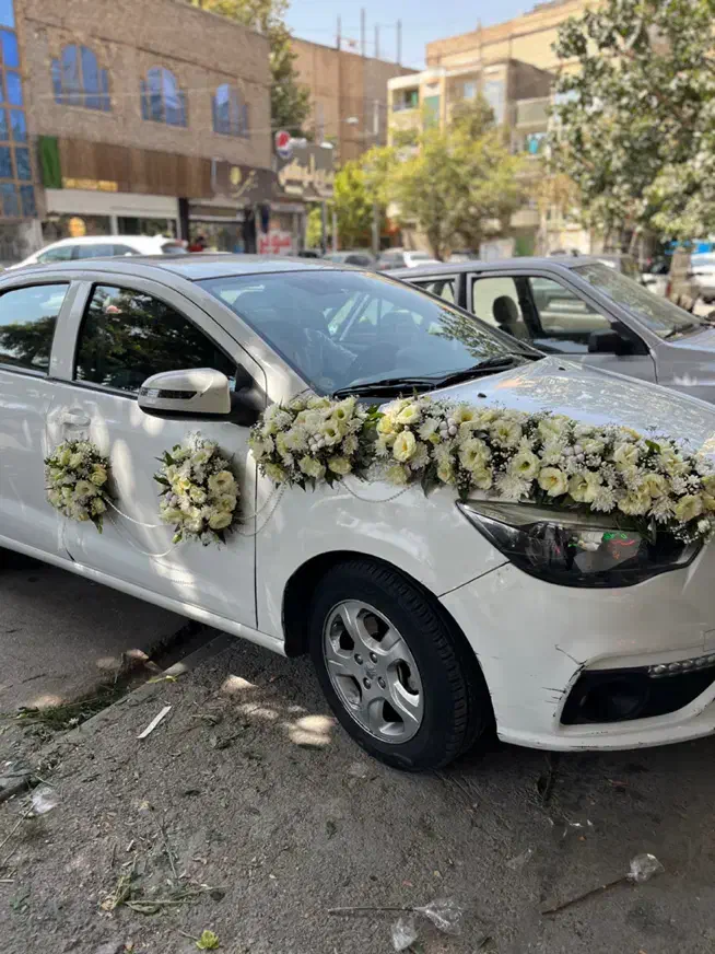جشنواره تخفیف ویژه ماشین و دسته گل عروس|گل و گیاه طبیعی|مشهد, امیر|دیوار