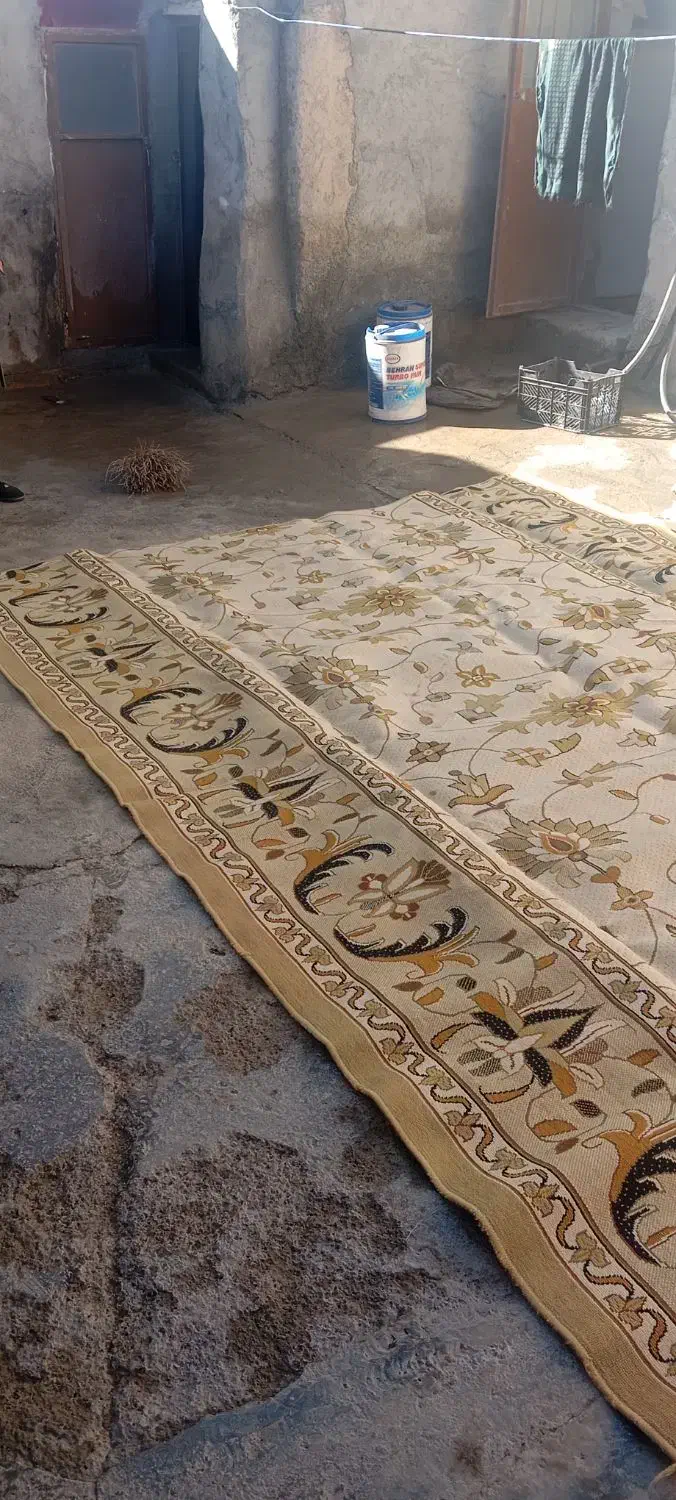 قالی|فرش|دهگلان, |دیوار