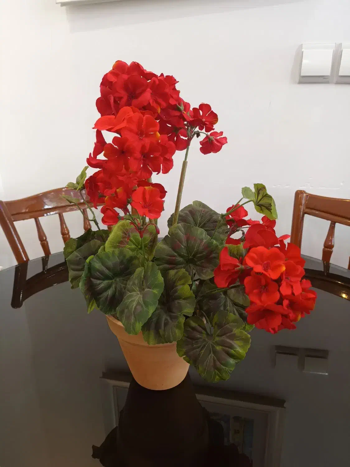 گل مصنوعی|گل مصنوعی|خمینیشهر, |دیوار