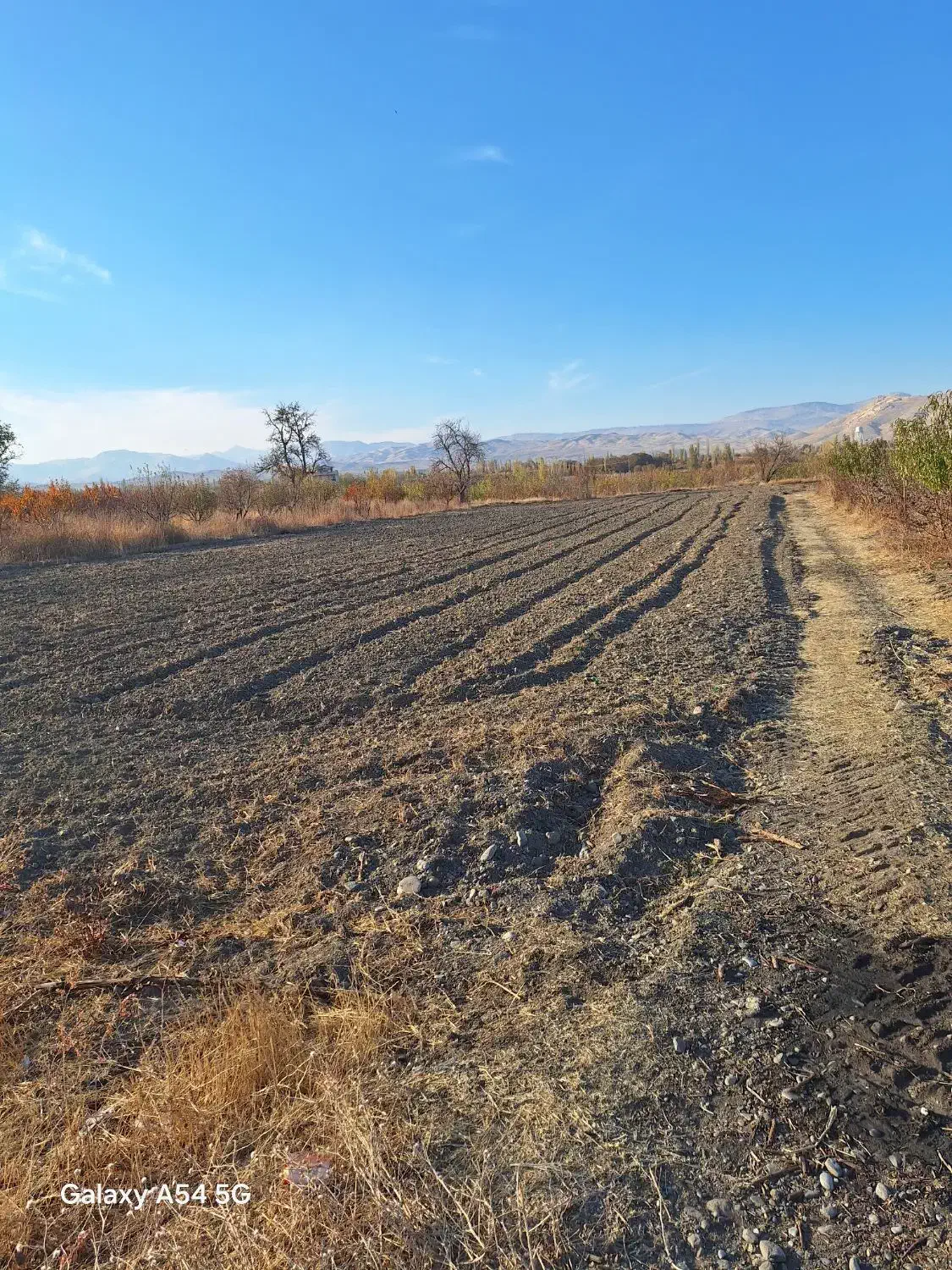 زمین کشاورزی جاده چناقلو|فروش زمین و ملک کلنگی|نوشین شهر, |دیوار
