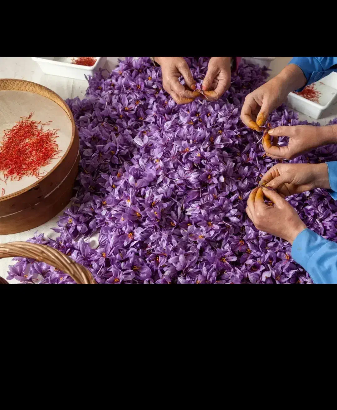 درجه یک درجه یک اعلا زعفران تربت حیدریه|خوردنی و آشامیدنی|گرگان, |دیوار