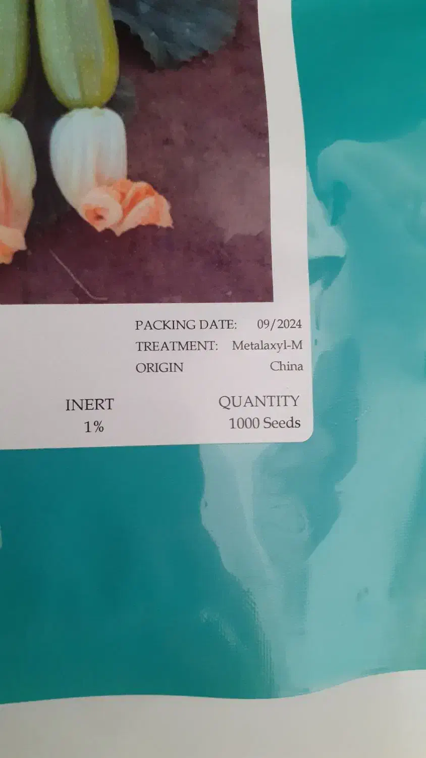 بذر کدو اِلیت|گل و گیاه طبیعی|اندیمشک, |دیوار