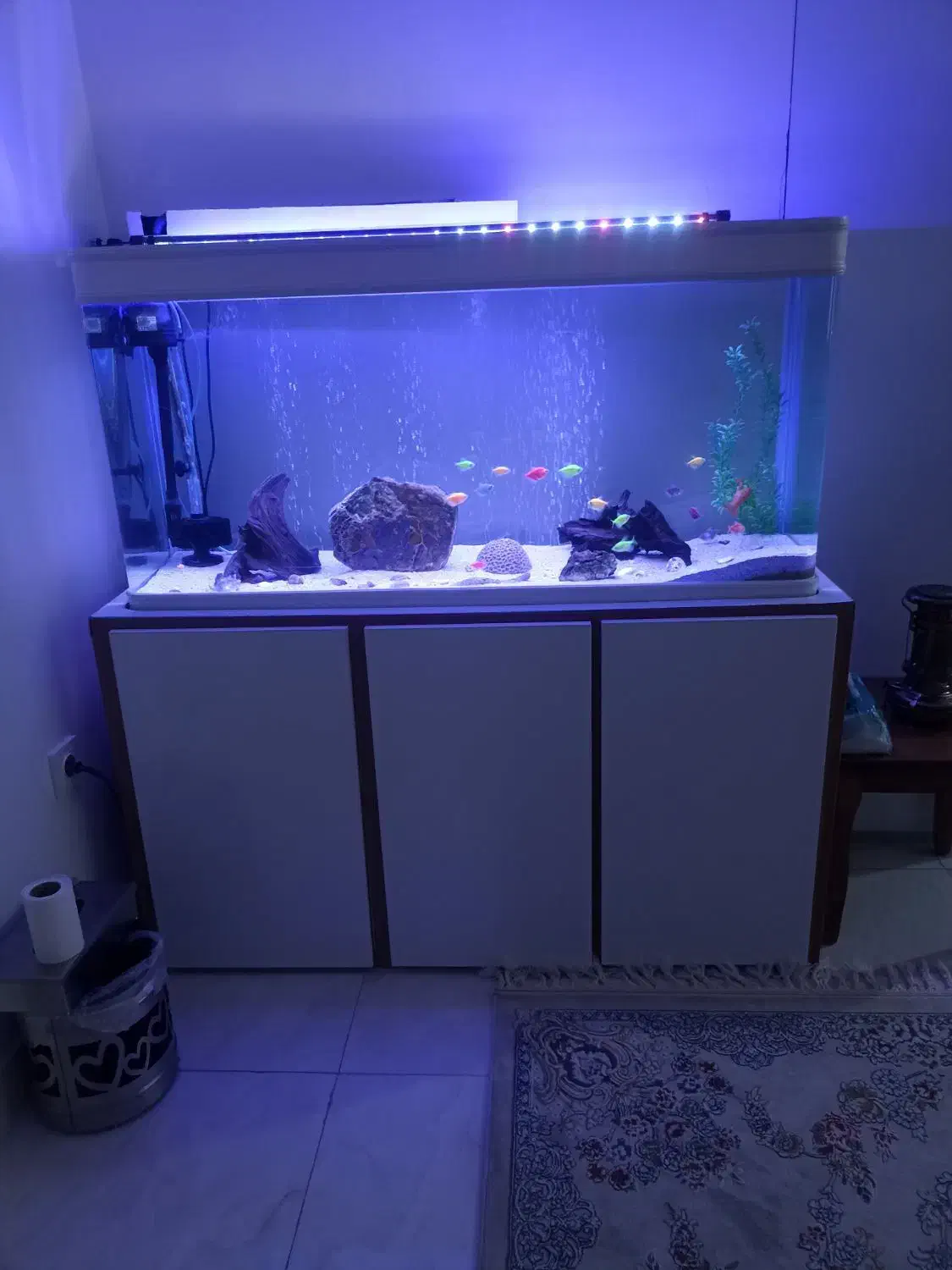 اکواریوم شیشه خم|ماهی|خرمآباد, |دیوار