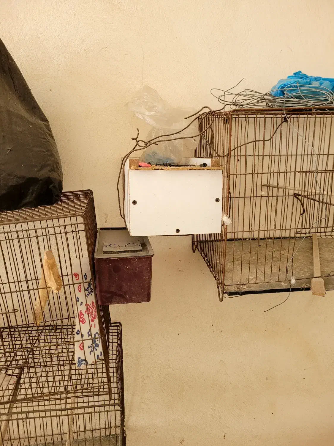 قفس و لونه مرغ عشق و طوطی|لوازم جانبی حیوانات|بابل, |دیوار