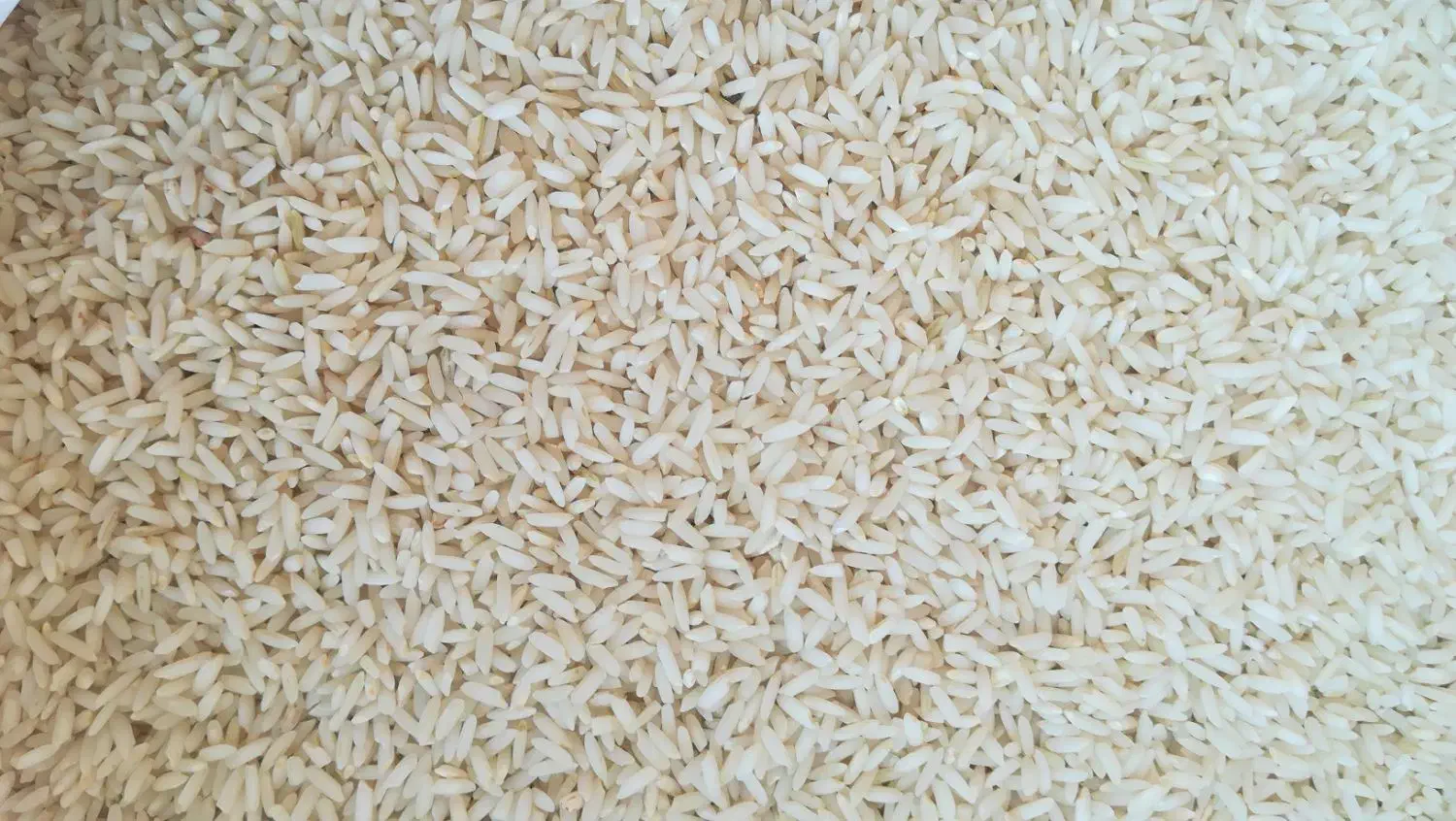 برنج خوش پخت علی کاظمی|خوردنی و آشامیدنی|بروجرد, |دیوار