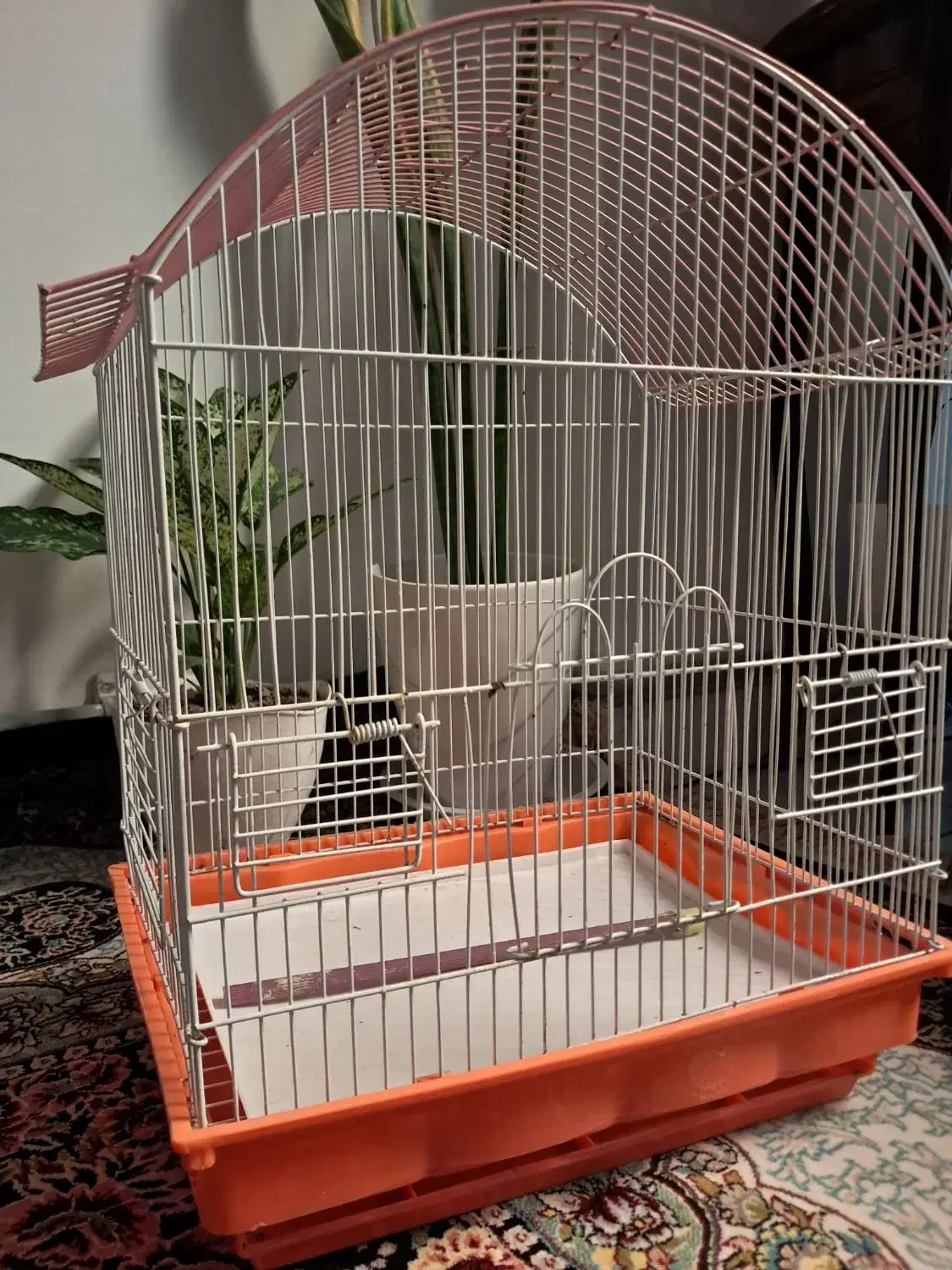 قفس پرنده|لوازم جانبی حیوانات|قدس, شهر‌قدس|دیوار