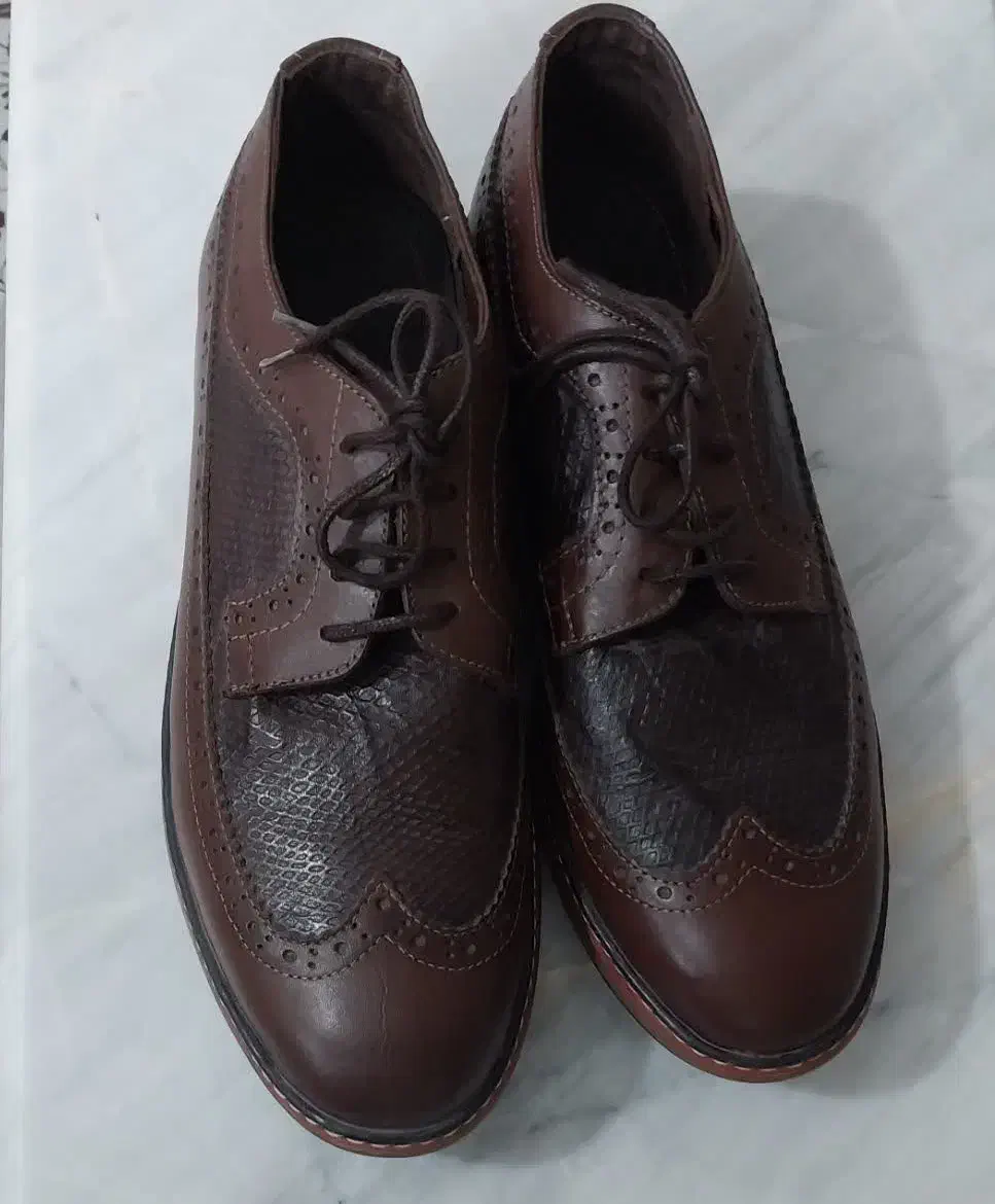 کفش چرم در حد نو زیر قیمت به علت داشتن چک|کیف، کفش، کمربند|قم, هنرستان|دیوار