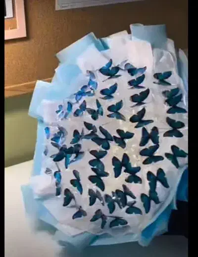 دسته گل پروانه ای|گل مصنوعی|سبزوار, پاسداران|دیوار