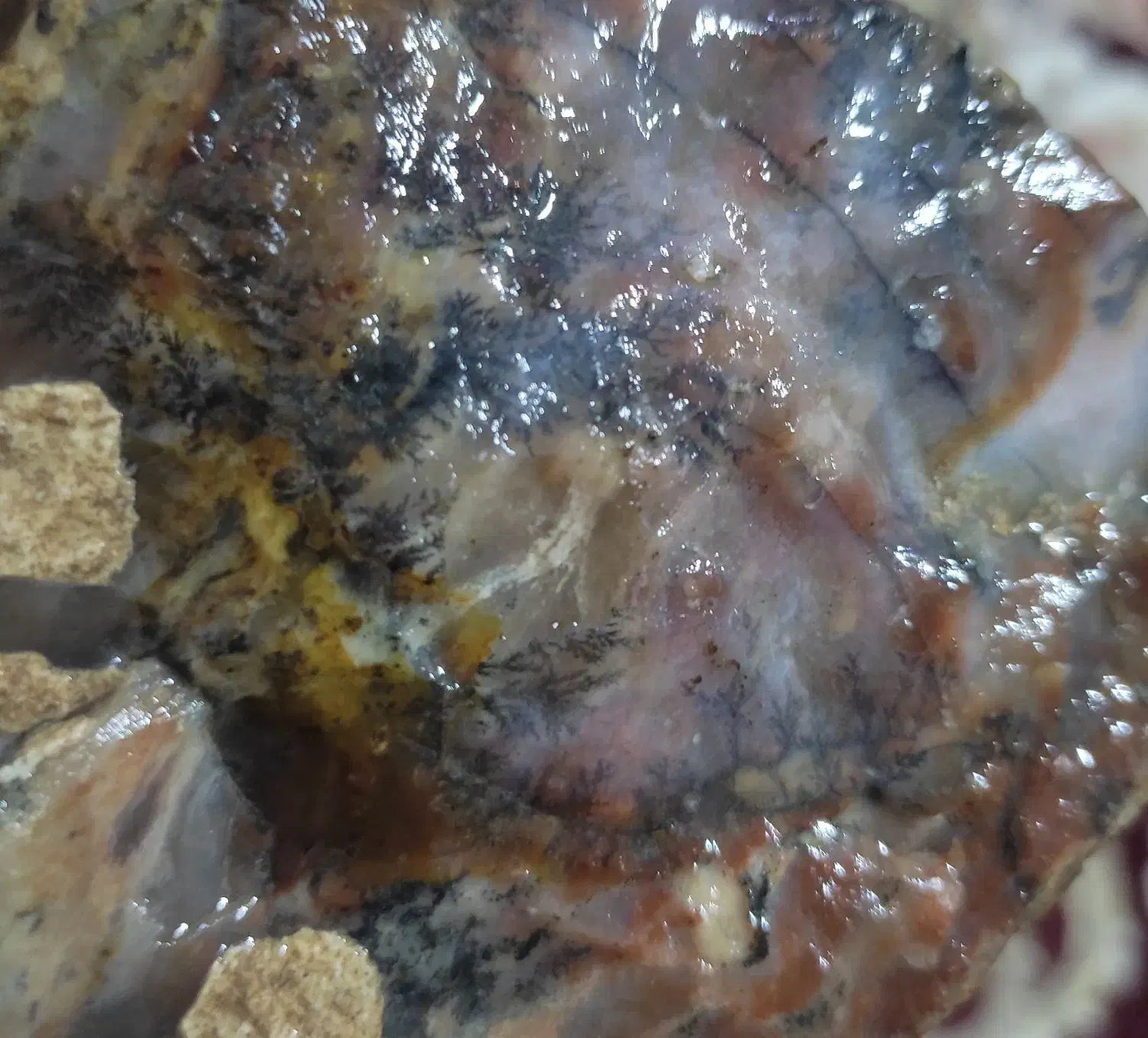 عقیق شجر قاین زمینه خاص|جواهرات|اردبیل, |دیوار