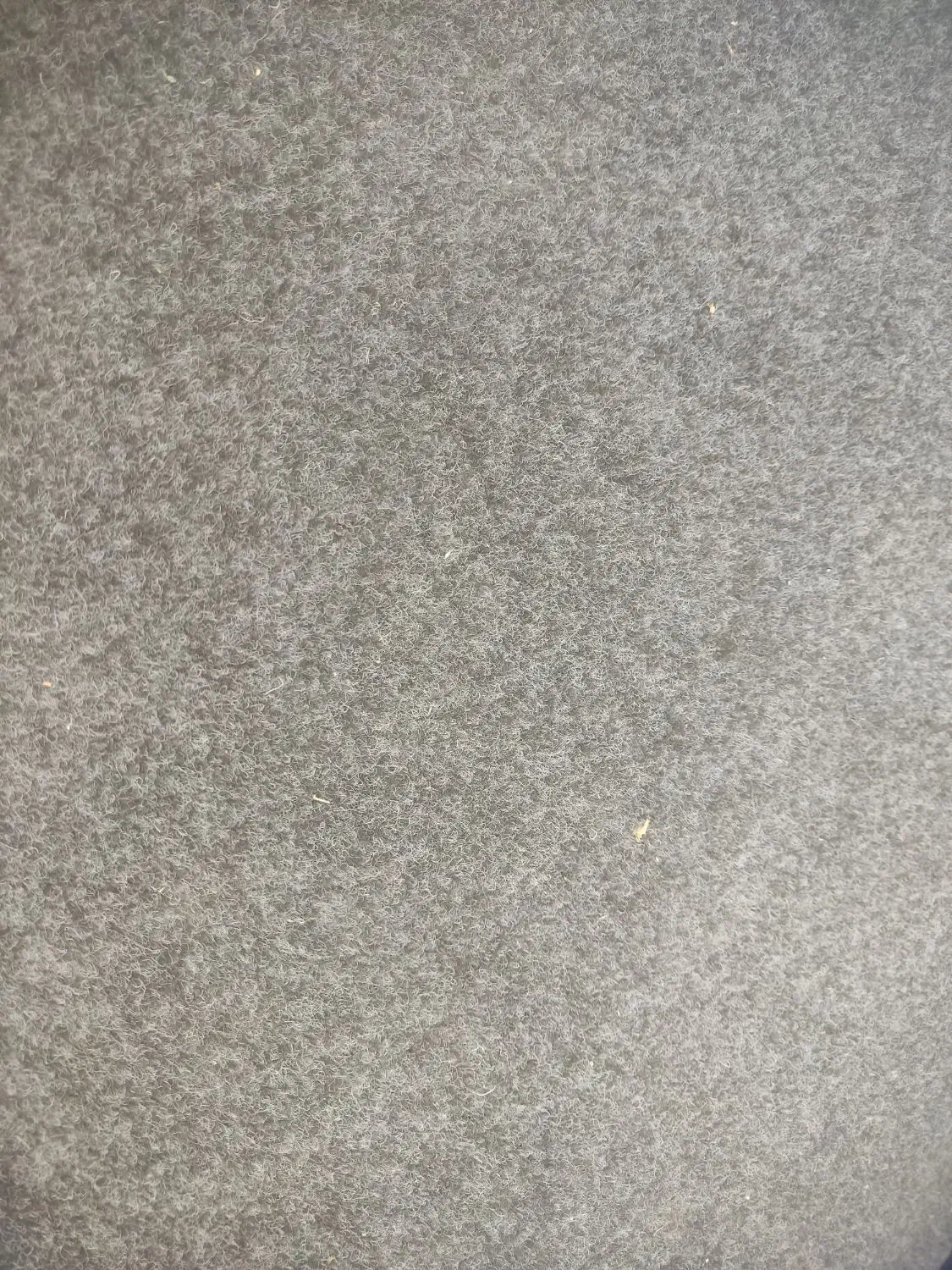 موکت|موکت|شهریار, دهشاد بالا|دیوار